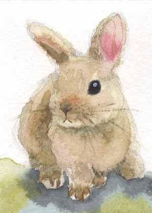 原始的水彩绘画艺术例证老鼠伞小兔雨图片